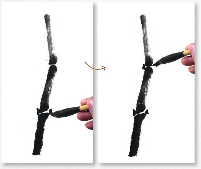 画竹子的简单画法水墨初学,竹子没骨画教程
