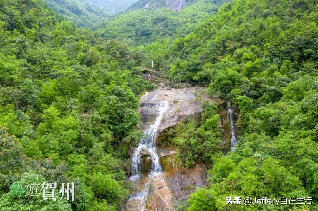 拍贺州｜莲塘镇大山深处的“一号基地”