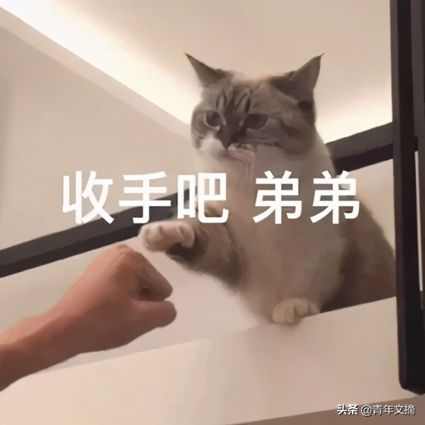 开心一刻｜所谓财富自由：花光财富，让它重获自由