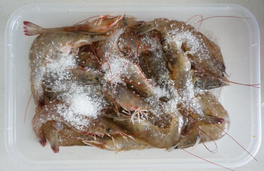 活虾冷冻保存最好的方法,活虾冷冻保存最简单方法