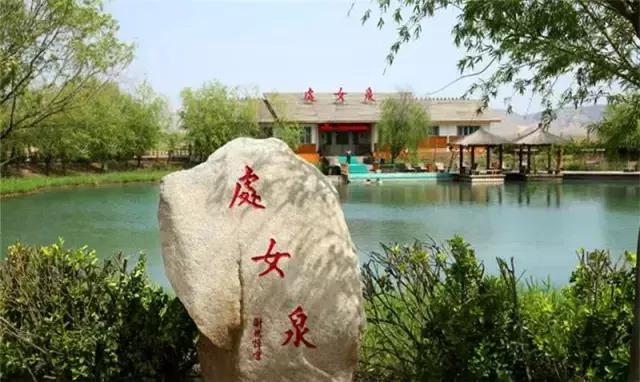 冬天来合阳，赏万顷芦荡，候鸟齐飞（组图）