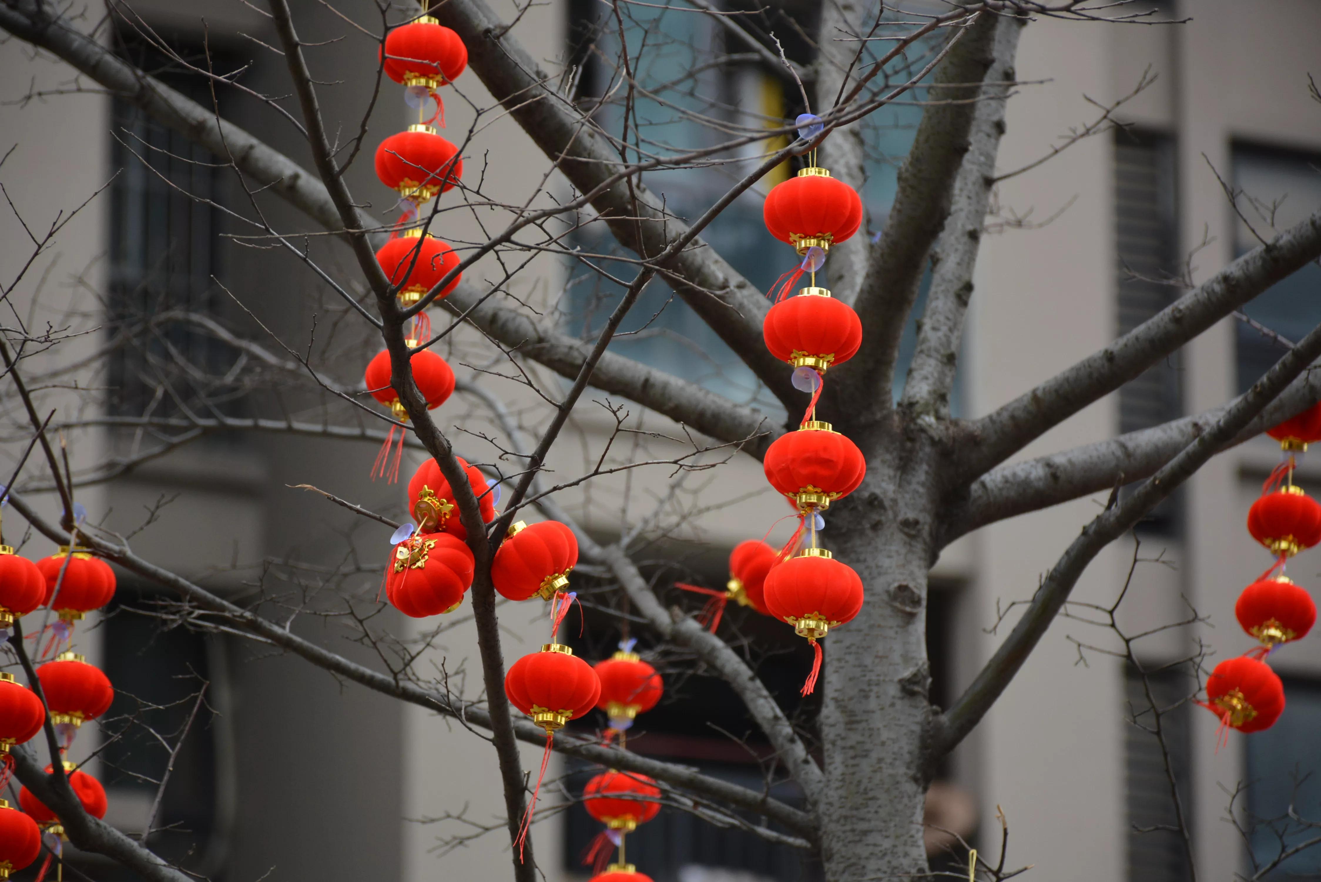 能坚持四季如春就好了（湖畔雅居的春天）