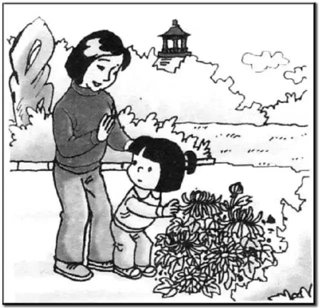 小学一二年级必考看图写话范文,二下看图写话100篇免费