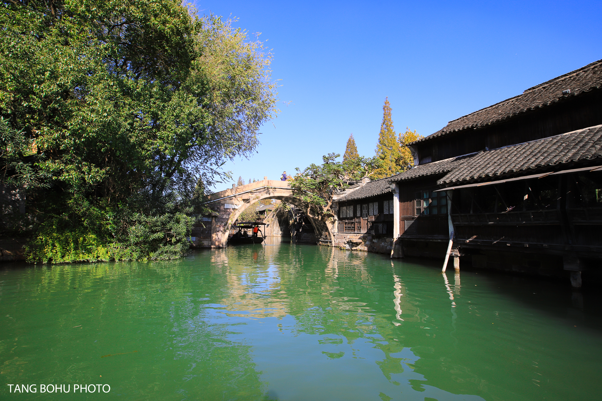 乌镇，来过未曾离开，感受小桥流水人家的静谧安闲