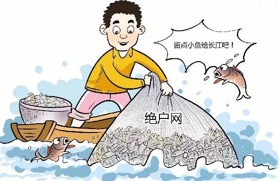 长江禁捕恢复最快的鱼,长江重新被发现的灭绝生物