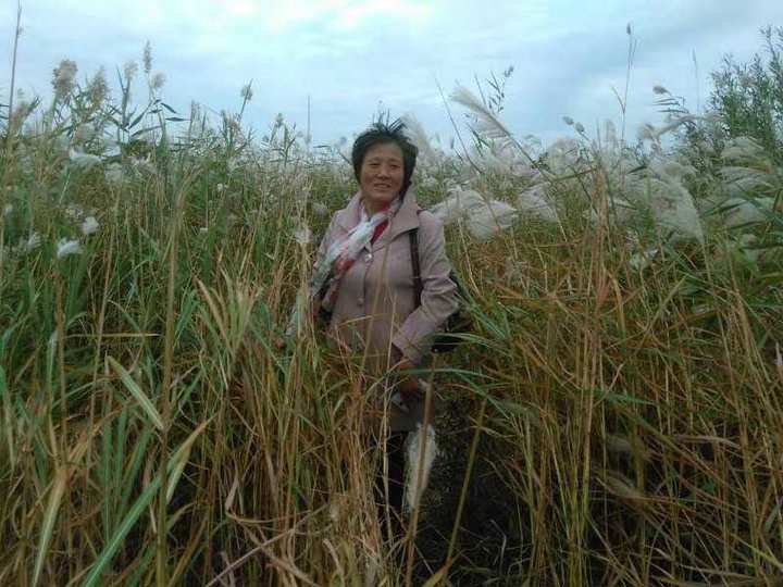 王玉芹原创回忆散文｜深深地思念，记我的启蒙老师