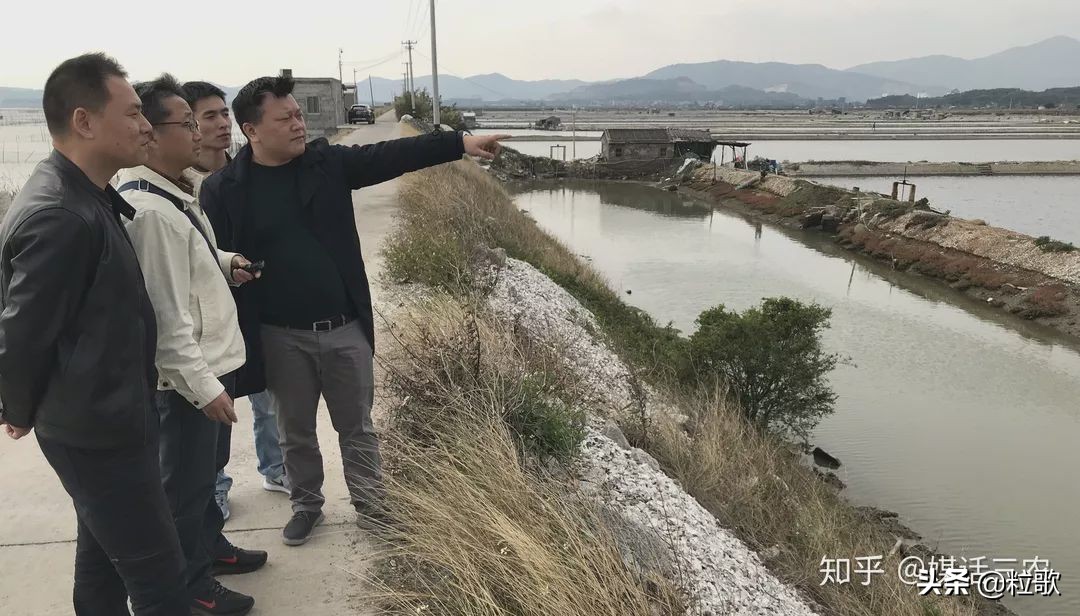 玛塔牡蛎钙哪种最好,玛塔牡蛎钙使用方法