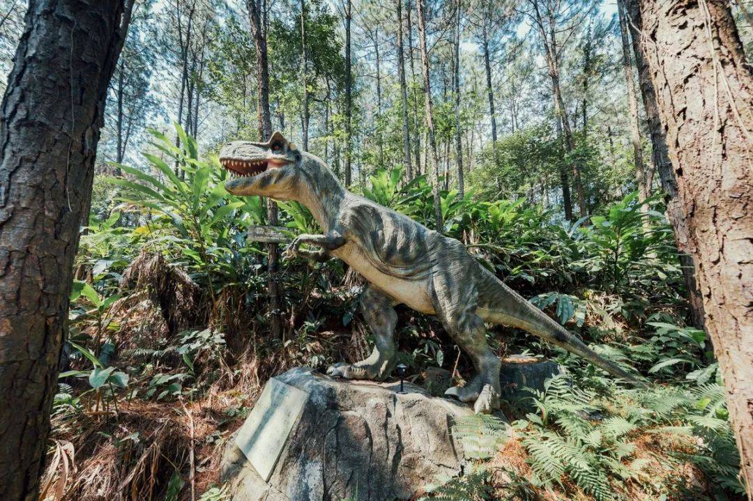清远森波拉温泉度假村酒店好玩吗,清远森波拉温泉度假酒店附近景点