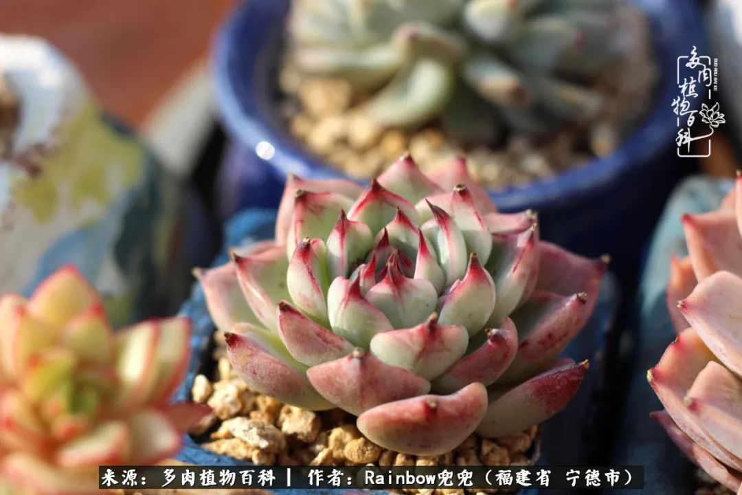 岁月无波澜余生不悲欢是啥意思,愿你岁月无波澜敬我余生无悲欢