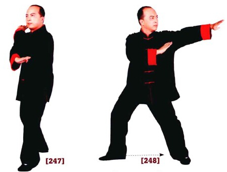 咏春拳入门十二散手,咏春拳标指教学视频