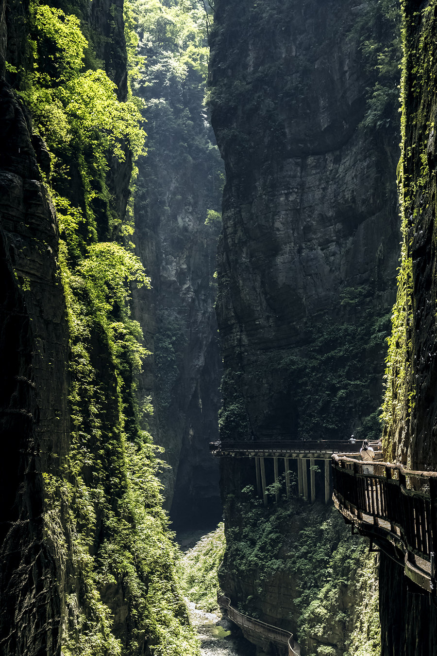 重庆避暑凉快的地方,重庆人都去贵州哪里避暑最好