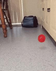 开心一刻gif搞笑动图,搞笑gif段子看起来能量满满