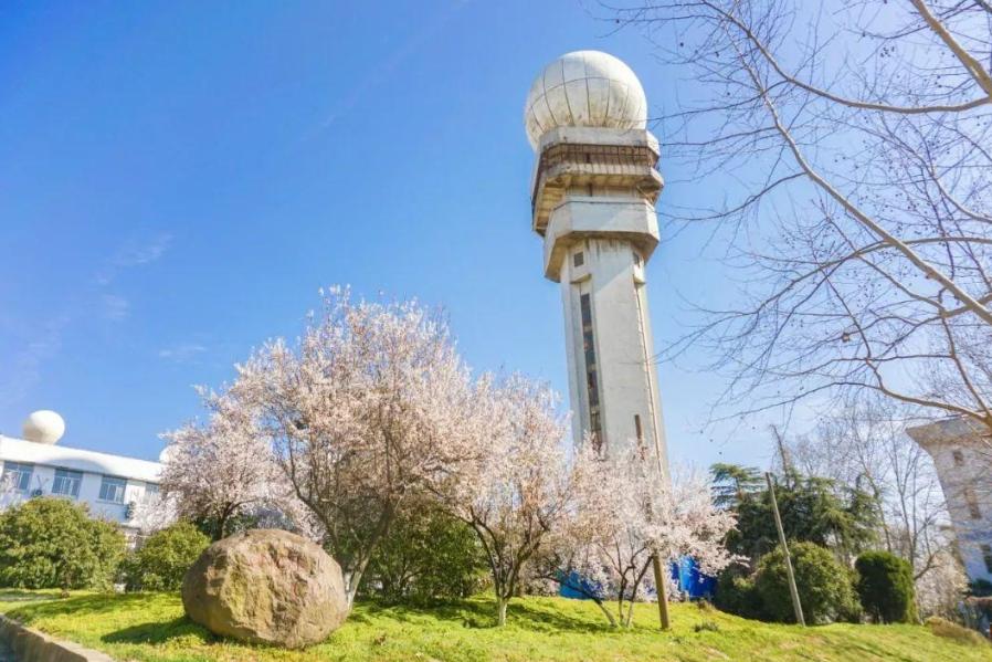 南京这所大学“好委屈”，是正规本科高校，却常被当作野鸡大学