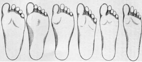 怎样挑选宽头徒步鞋,挑选徒步鞋的绝招