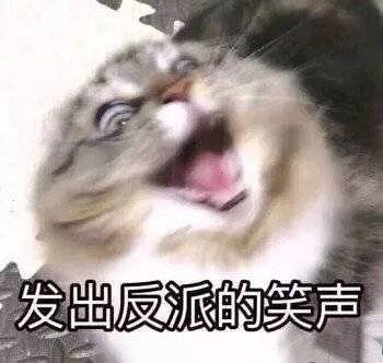 估值64亿，“拼多多学徒”破产：为何你应该感谢淘集集和王思聪？