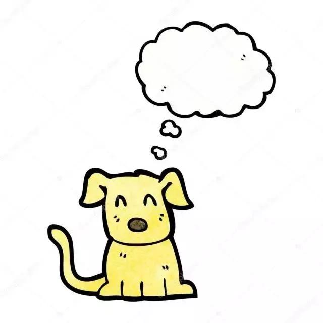 宠物皮肤病特效药有哪些,宠物常见的皮肤病药