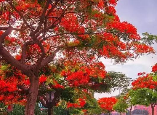 三亚5天4晚旅游攻略便宜,三亚旅游攻略1人