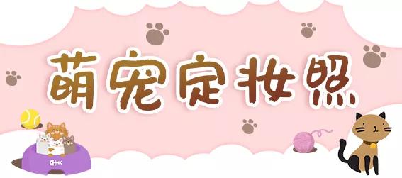 十堰市茅箭区赶集时间,十堰茅箭区约会