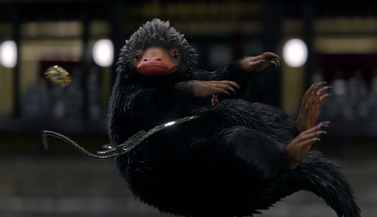 神奇动物格林德沃之罪讲的是什么,神奇动物格林德沃之罪一分钟回顾