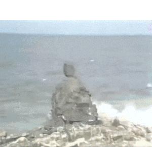 为什么容易爆藻,为什么有的人对鱼那么痴迷