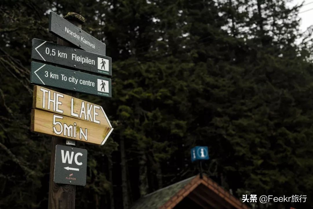 王珞丹35岁庆生照,王珞丹的生日是几月几号