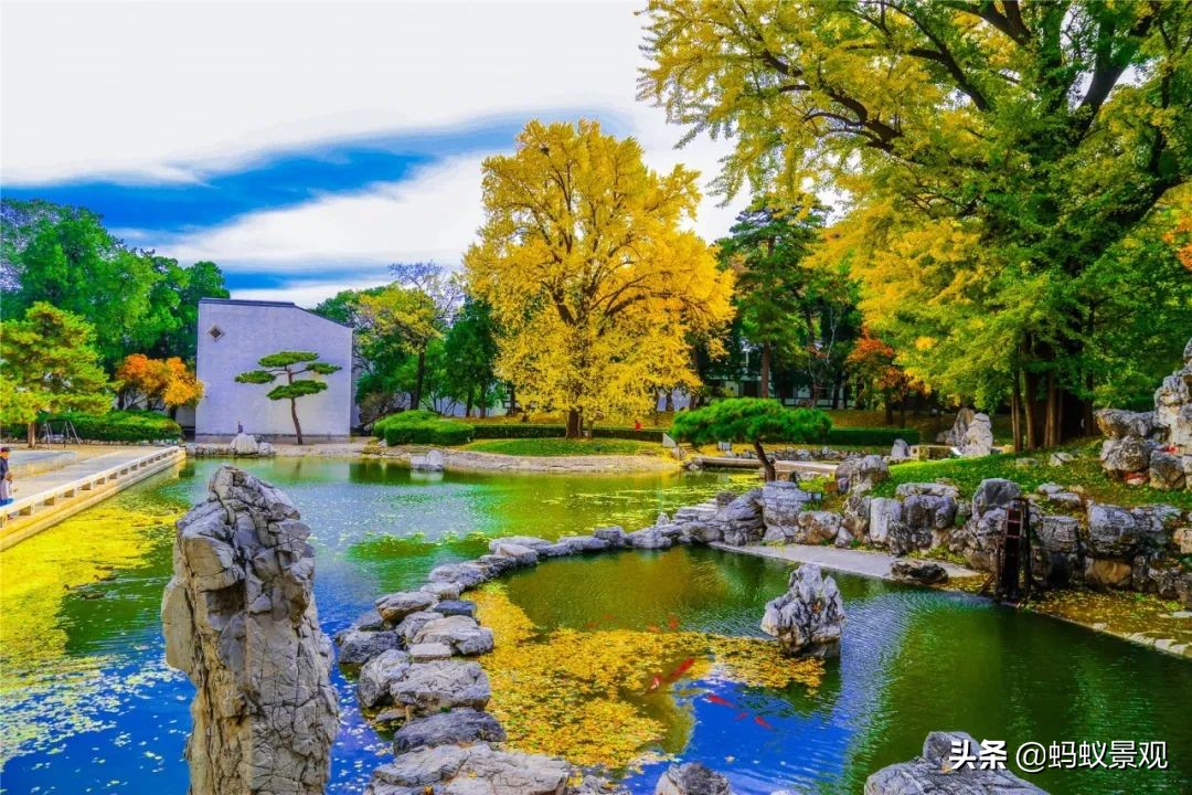 香山饭店四绝十八景是什么,香山饭店的游记
