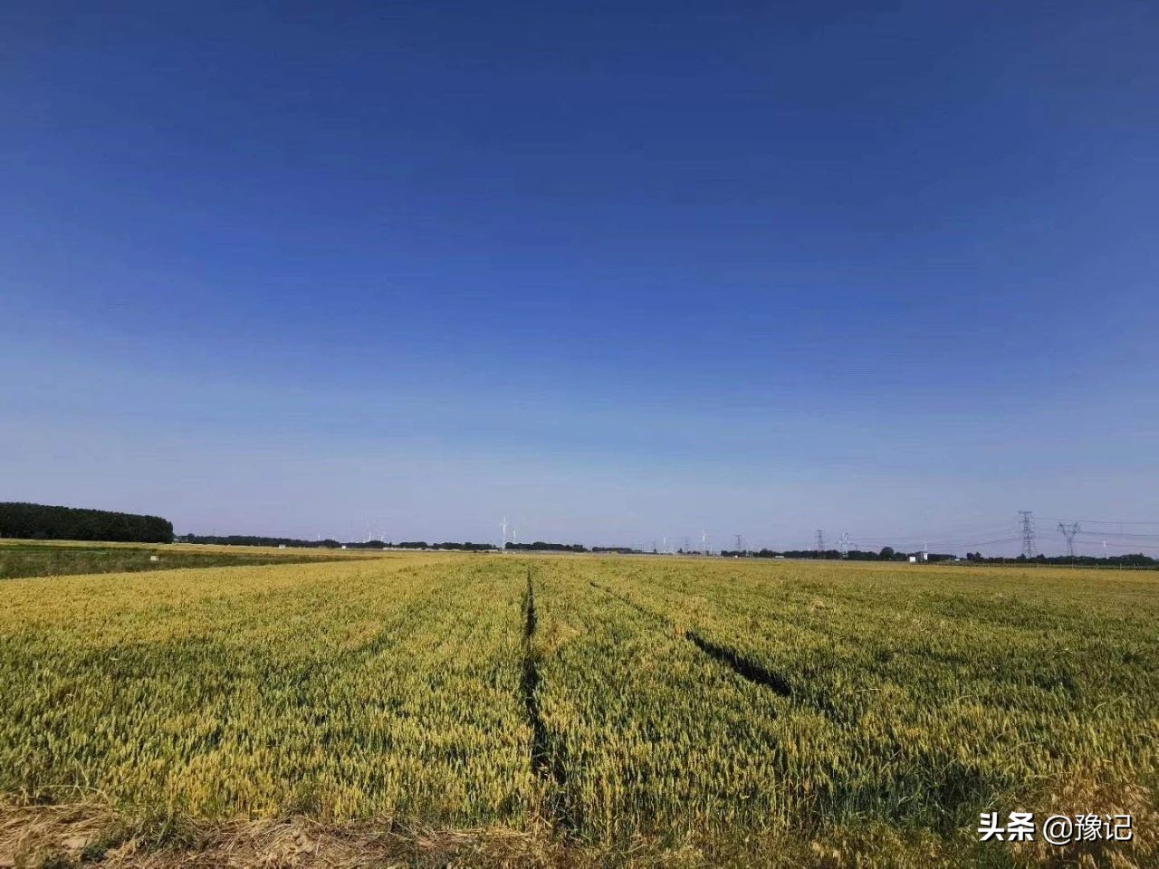 麦收农具,古老麦收农具大全