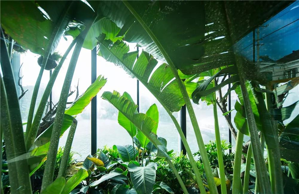 探秘！10000㎡打造世界烘焙商业新物种！！！（系列一）