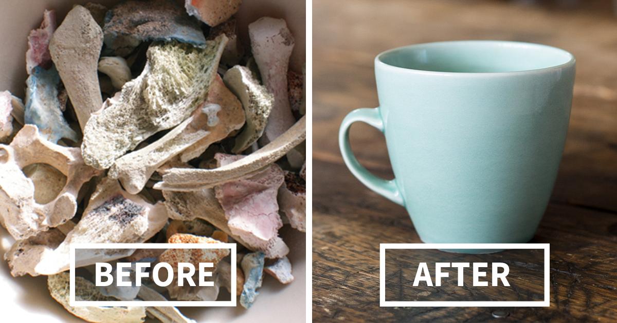 从科学角度来说骨灰是什么,用科学来解释骨灰究竟是什么