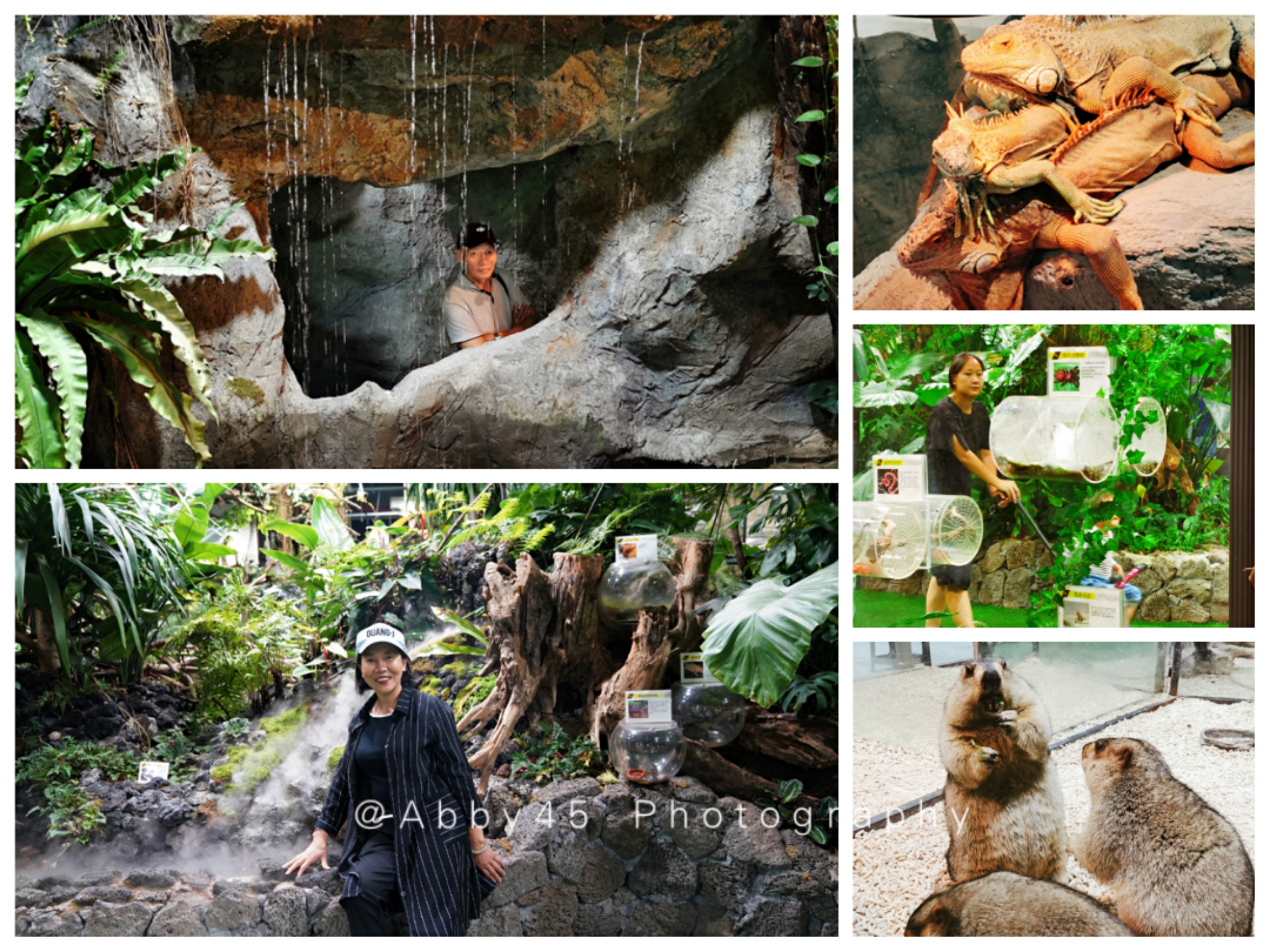 厦门亲子旅游三天两夜全攻略,带父母去厦门旅行攻略