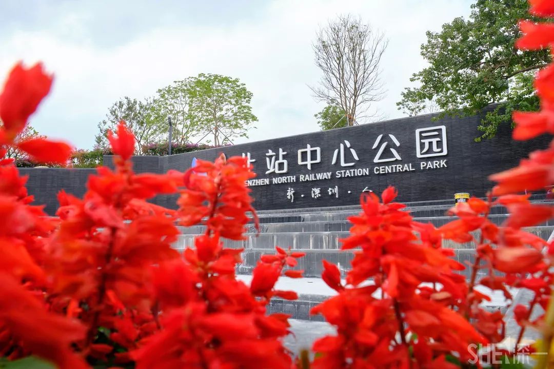 深圳龙华公园推荐,深圳龙华免费公园