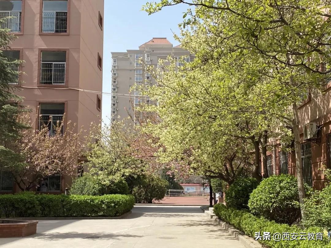 西安电子科技中学开学视频,西安电子科技中学详细介绍