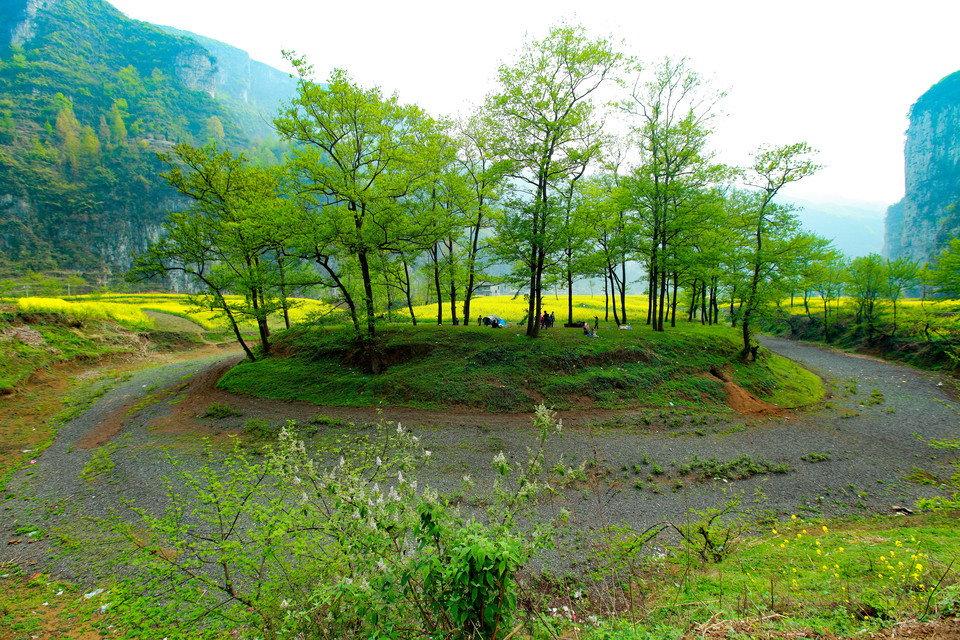 贵州织金县：一个织金洞，一道宫保鸡丁如何能够留住游客？