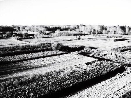 小学难忘的回忆,难忘的小学活作文