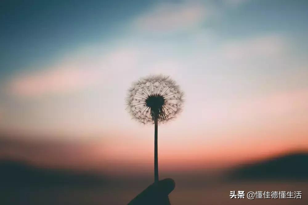 过得好不好只有自己知道音乐,过得好不好只有自己知道文案