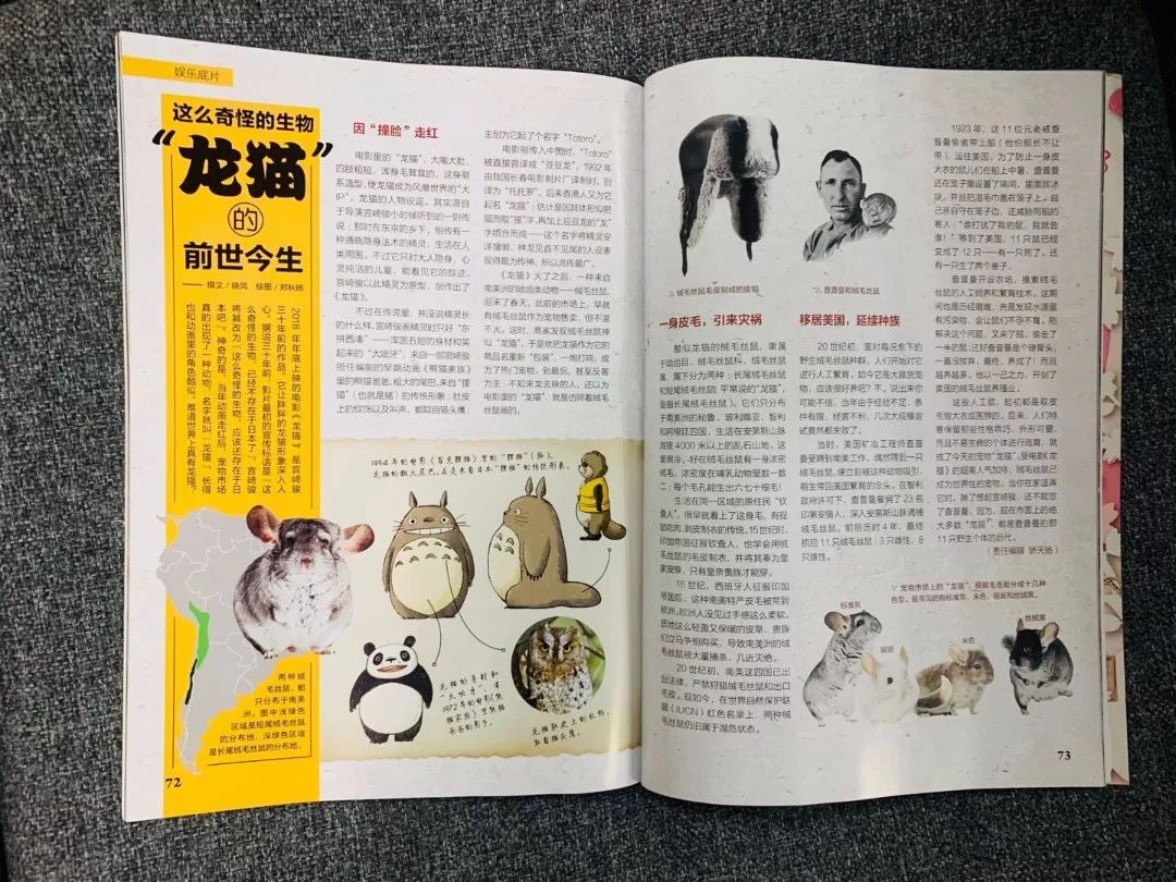 不知道给孩子订哪些杂志,看这篇