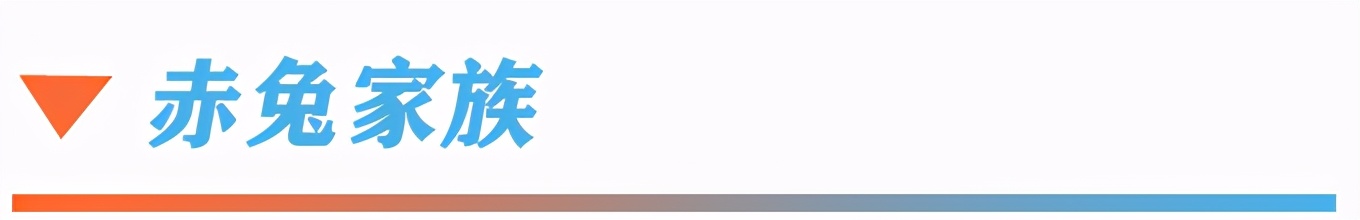 李宁superlight19适合什么跑者,李宁新鞋排行