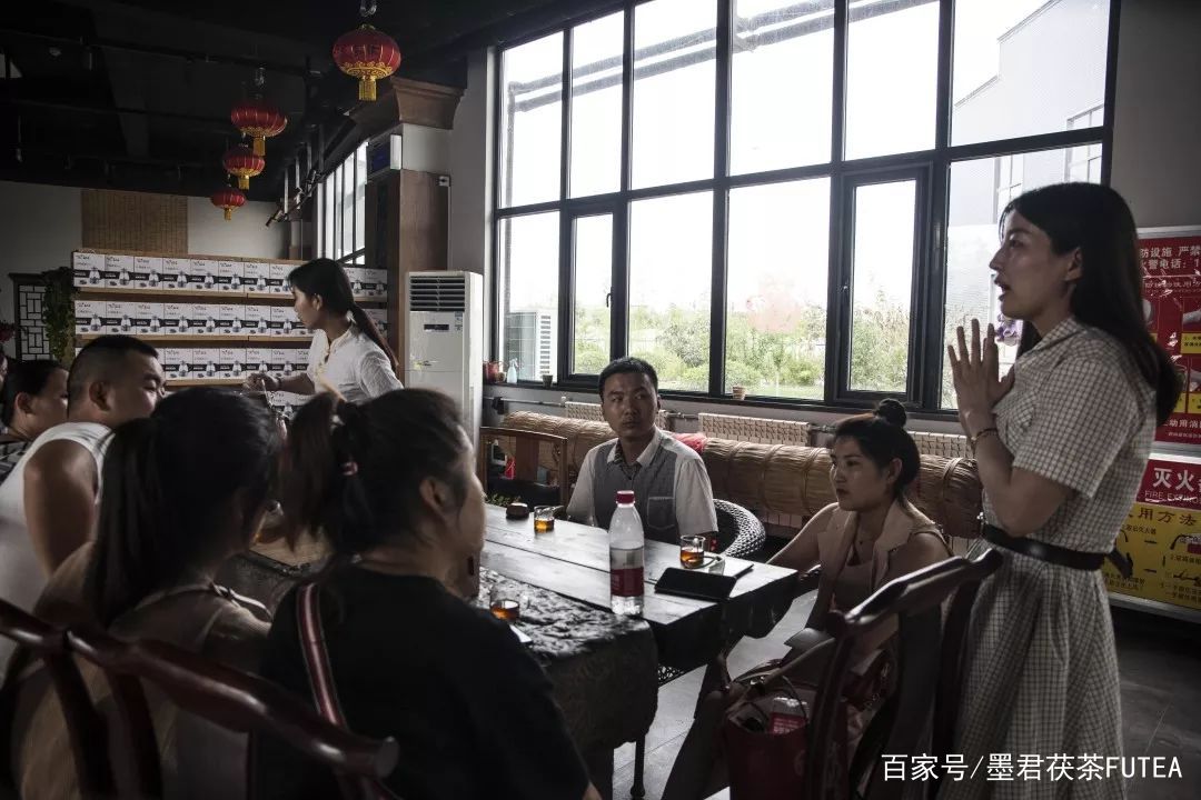 会友会景会茯茶品古品今品墨君|陕西巨鹰公司莅临金叶茯茶参观