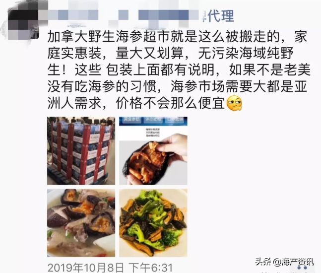加拿大海参开袋即食,加拿大海参专卖店