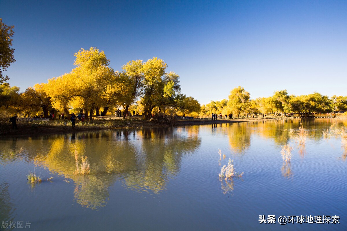 内蒙古阿拉善盟骆驼之乡,阿拉善左旗骆驼之乡在哪