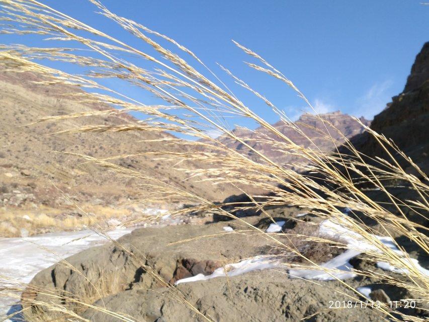“思者无域行者无疆”贺兰山下行走的风景
