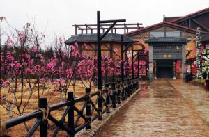 从上海到合肥有哪些自驾游景点,合肥200公里自驾游景点大全