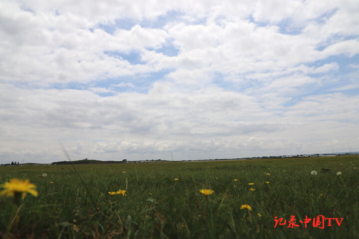 中国“最强最美”的四线城市，名气比肩新一线，非常受游客欢迎