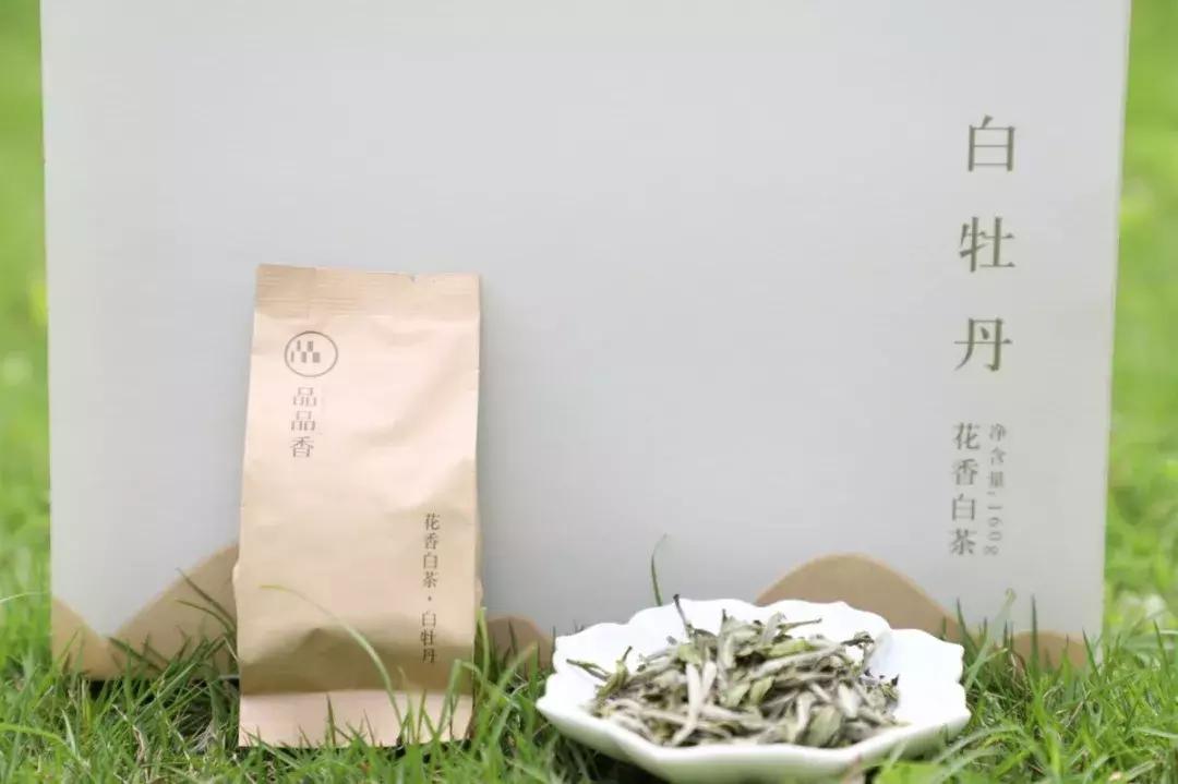 怎样辨别正宗福鼎白茶,怎么鉴别福鼎白茶好坏视频
