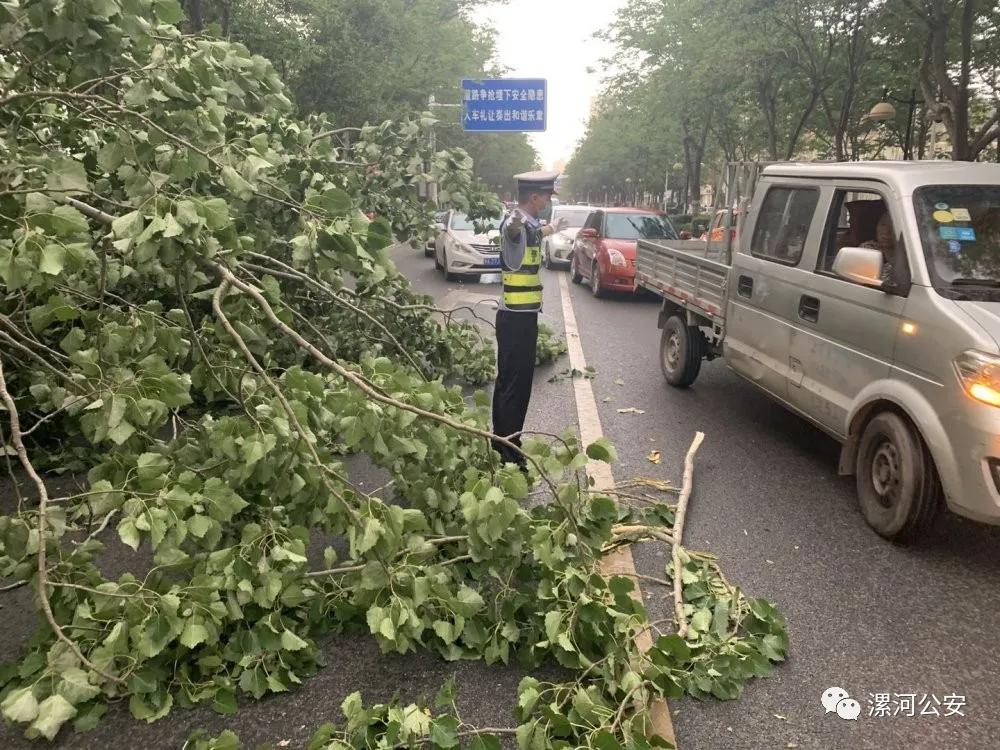 漯河救助站,漯河紧急避难所
