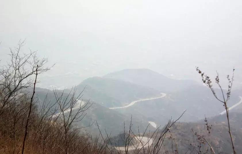 石家庄草莓采摘基地推荐,石家庄周边采摘园摘草莓