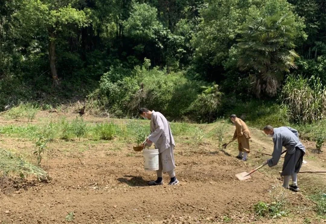 抢抓农时开展农业生产,农民纷纷抢抓春耕生产有利时机