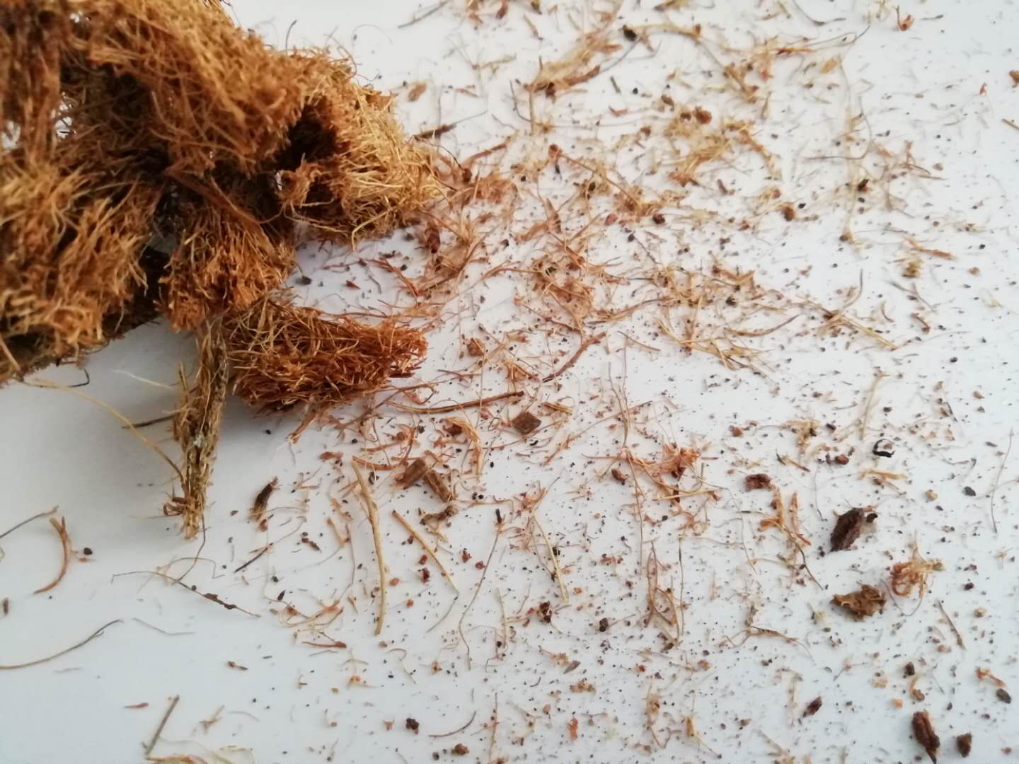 什么品牌的床垫棕垫质量最好,弹簧加棕垫好还是全棕床垫好