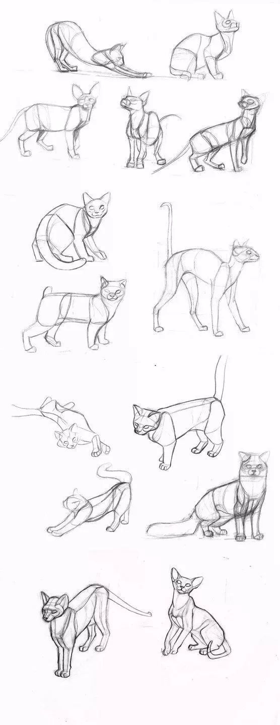 简笔画人物教程大全零基础成人,1000个适合零基础的简笔画教程