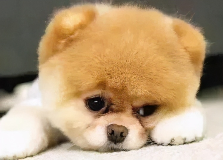 尖锐湿疣的克星,尖锐性湿疣的烦恼